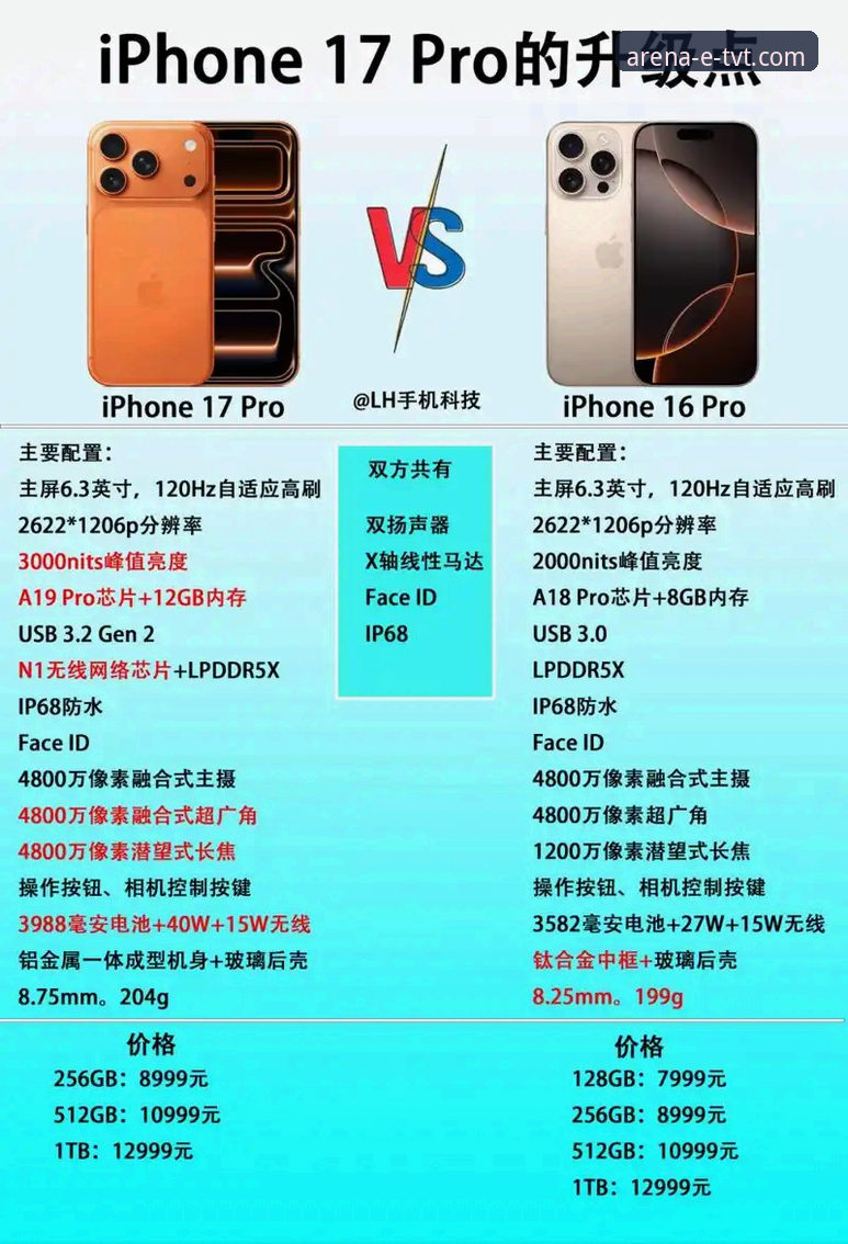 tvt体育官方网站app教程 官方App与手机版对比:tvt体育官方网站app教程全解析